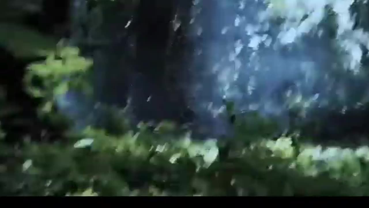New Movies