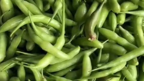 Two benefits of eating radish pods