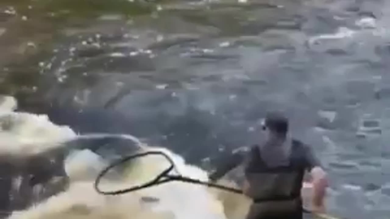 💋 Good Morning, Easiest Way of Fishing