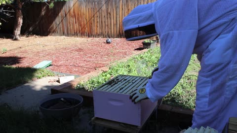 Failed on the tech and the bees