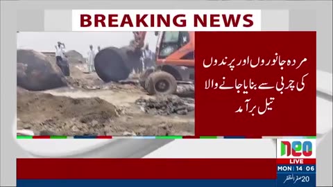 Mirrored: Pakistan 2024 Cooking Oil Made from Dead Animals!