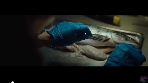 KRAKEN (2025) Official Teaser Trailer