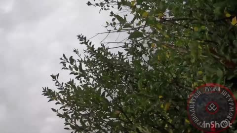👀💥 Ukraine Russia War | Russian Soldier Downs Ukrainian Drone with AK | RCF