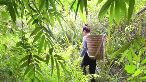 harvest cassava root #harvest #harvesting #farmlife