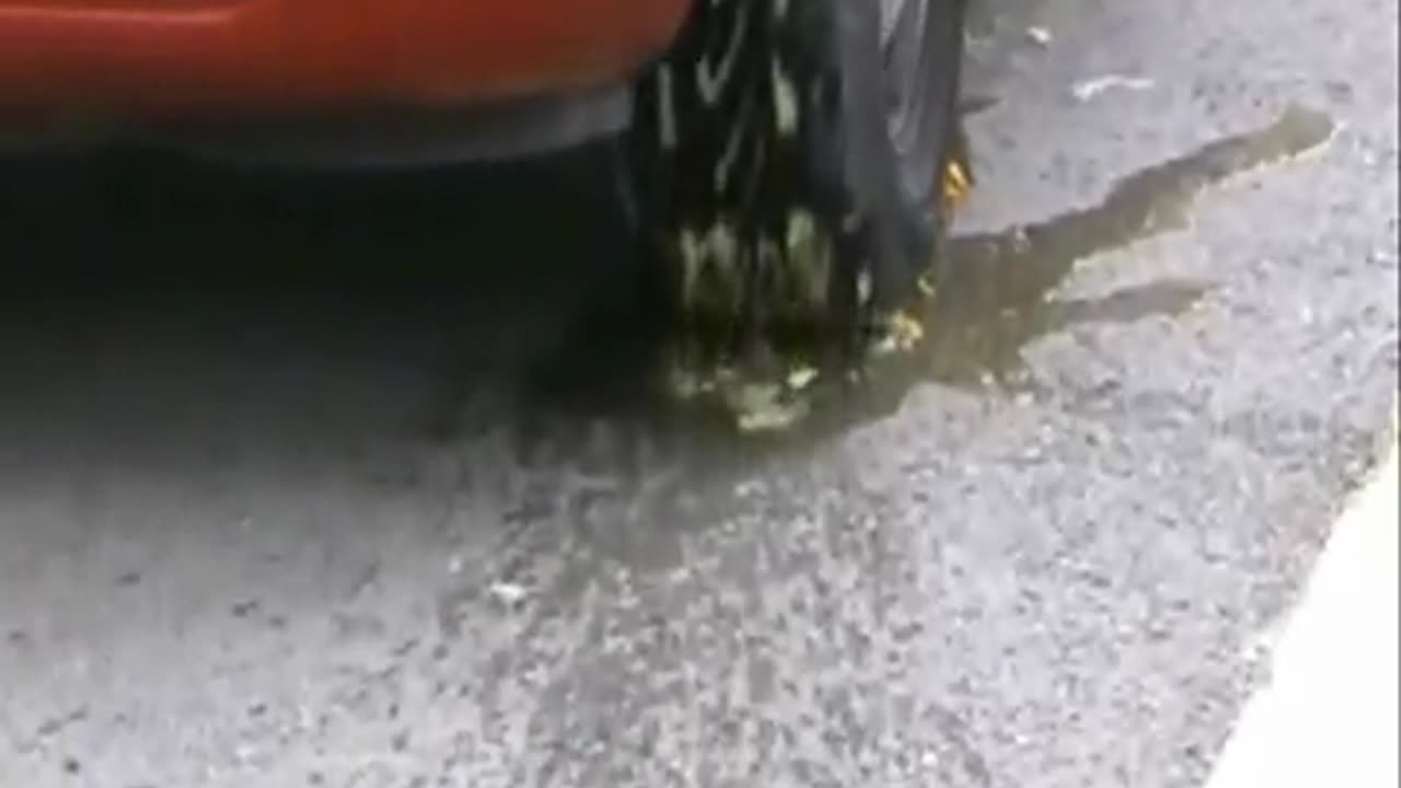 Fruit gets Crushed Under Tires