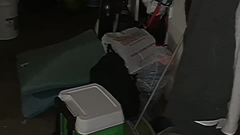 😱🔄 Repost with Circle: What's This? | TheHauntingHour