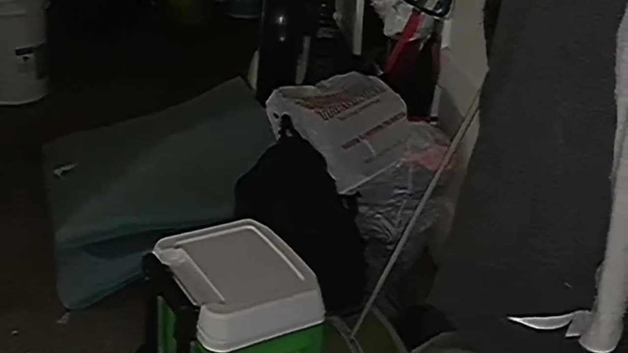 😱🔄 Repost with Circle: What's This? | TheHauntingHour