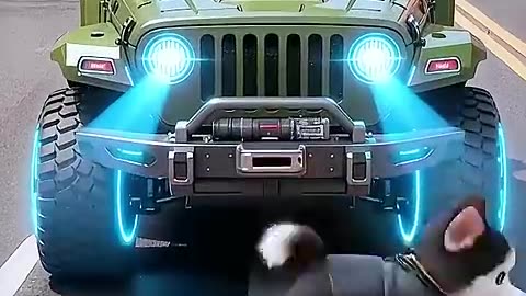 Shocking! The kitten, The dog , The Transformers!