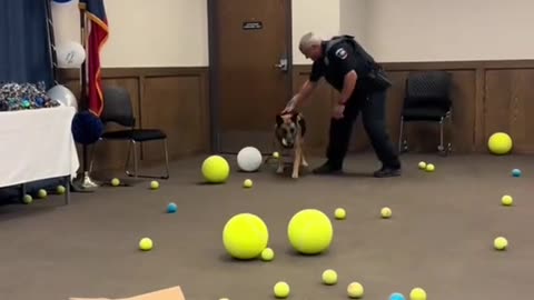 No sabía qué pelota escoger