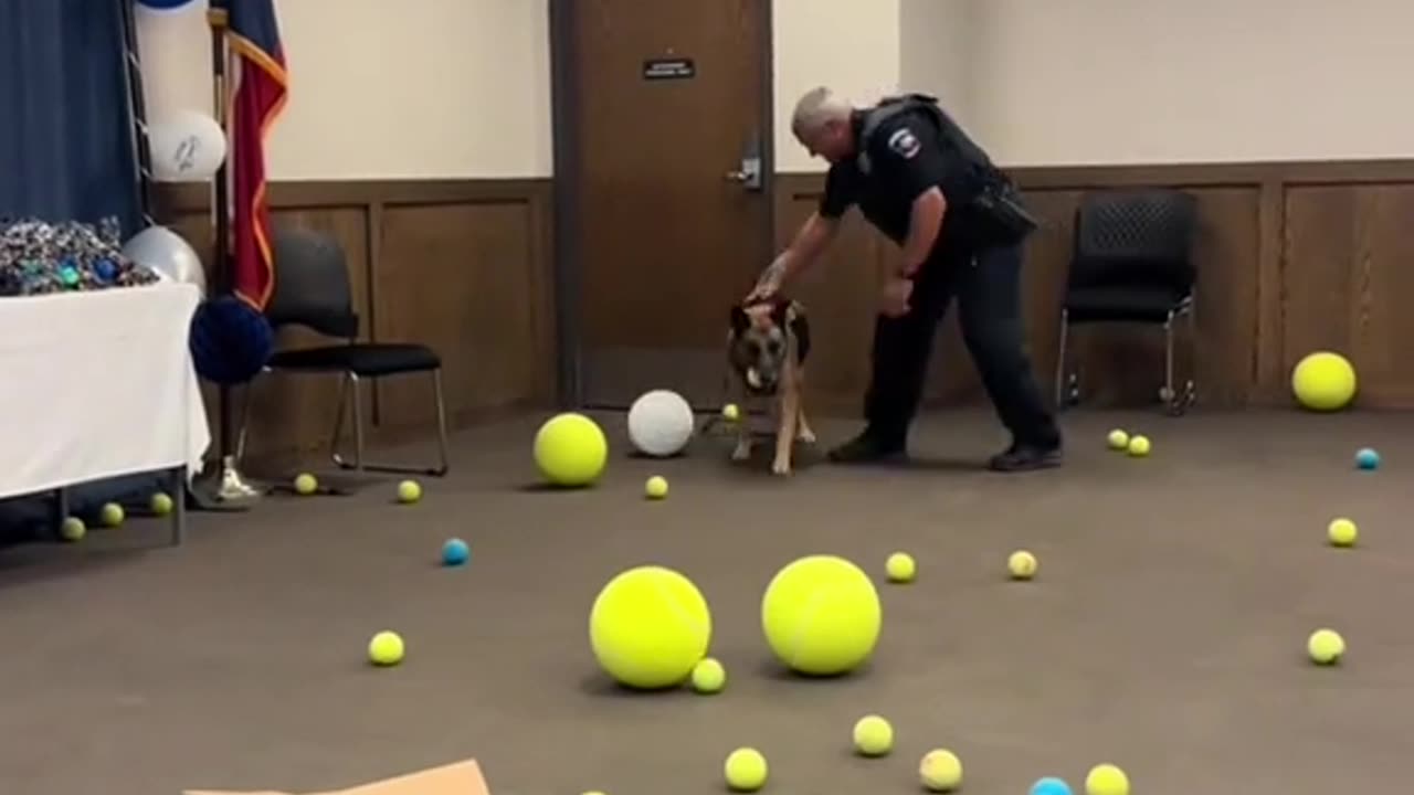 No sabía qué pelota escoger