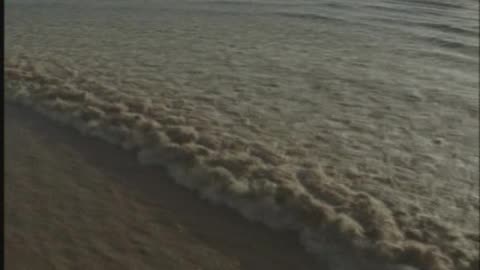 🌊 La Pororoca: L’Onda Gigante che Risale il Fiume | Spettacolo Naturale