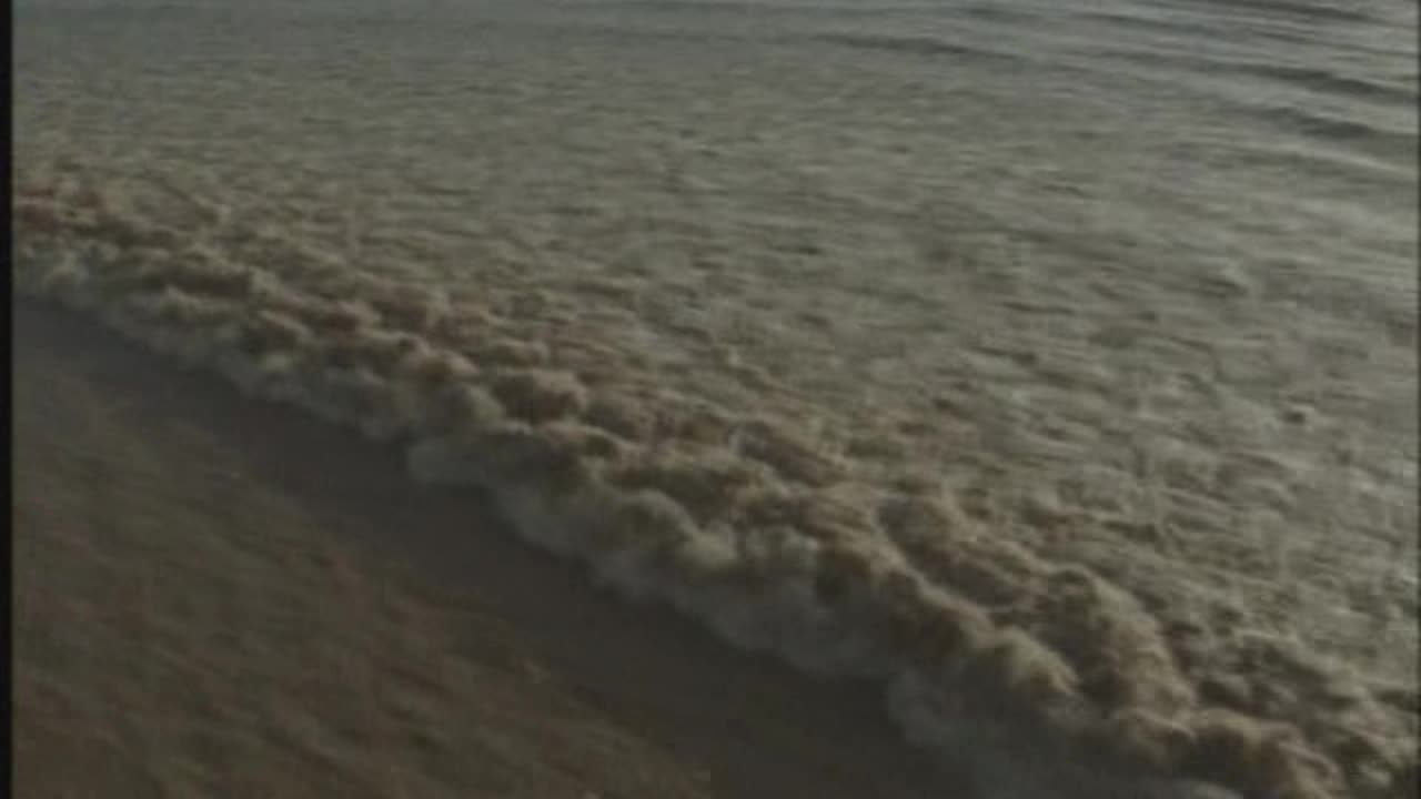 🌊 La Pororoca: L’Onda Gigante che Risale il Fiume | Spettacolo Naturale