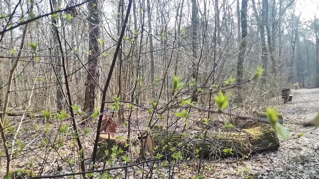 idę w nowy czas ...