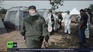 RT DE LIVE-TV