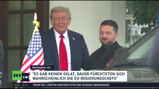 RT DE LIVE-TV