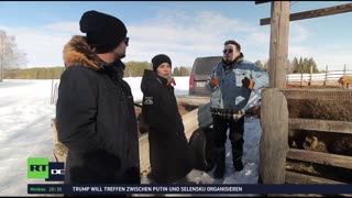 RT DE LIVE-TV