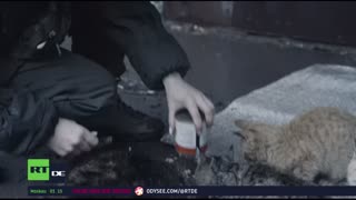 RT DE LIVE-TV