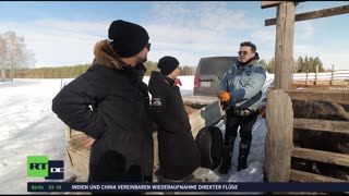 RT DE LIVE-TV