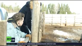RT DE LIVE-TV