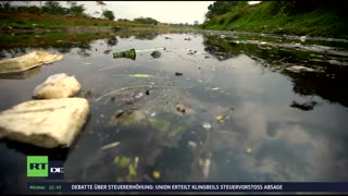 RT DE LIVE-TV