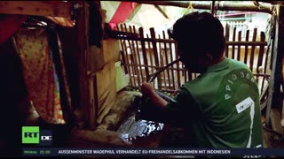 RT DE LIVE-TV