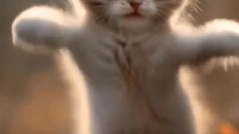 FUNNIEST Pets ! 🤣 TOP Videos of the YEAR 3D animation animals