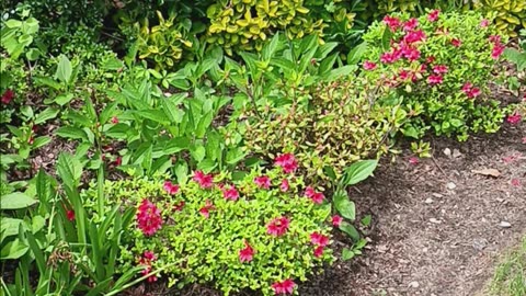 Spring colors.
