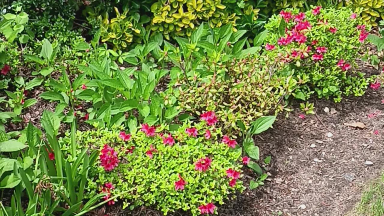 Spring colors.