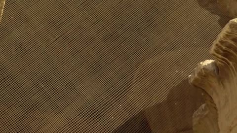 Inside the Majestic Temple of Horus in Edfu | TravelwithSaave