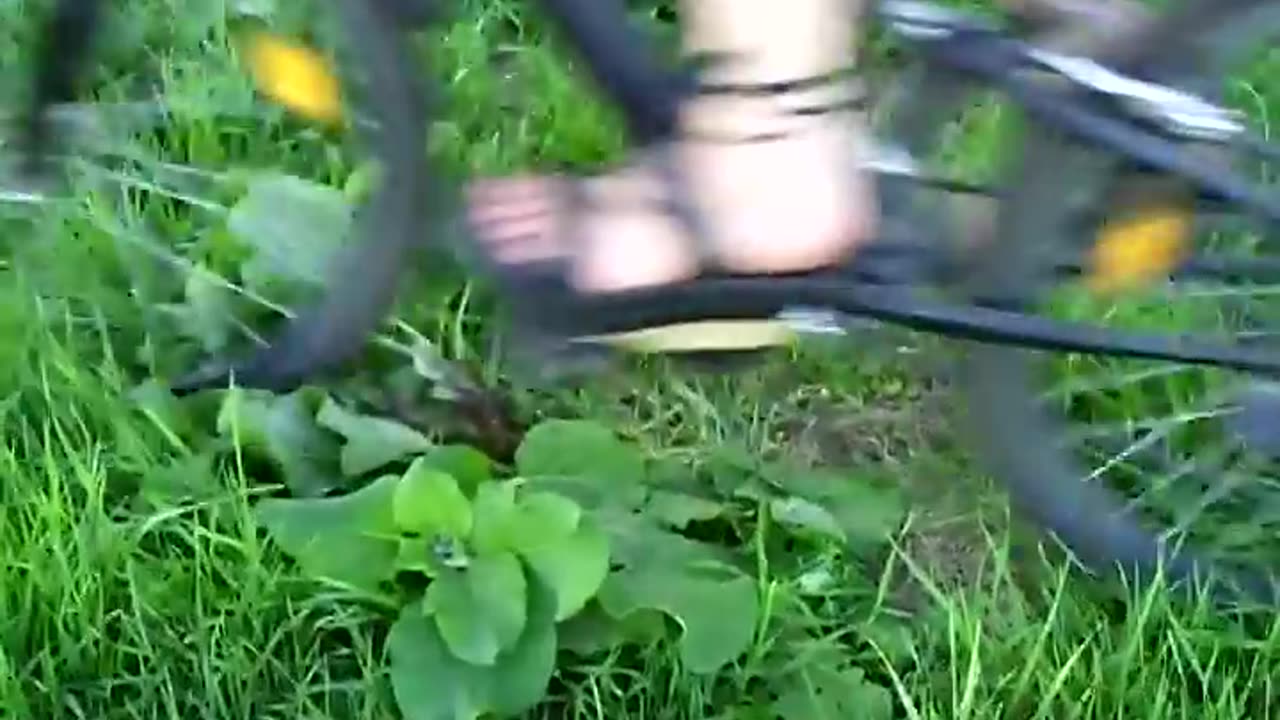 Running Over Weeds with a Bike