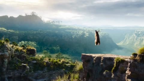 The Rabbit That Jumps in the Mountain Center – A Wild Moment in Nature