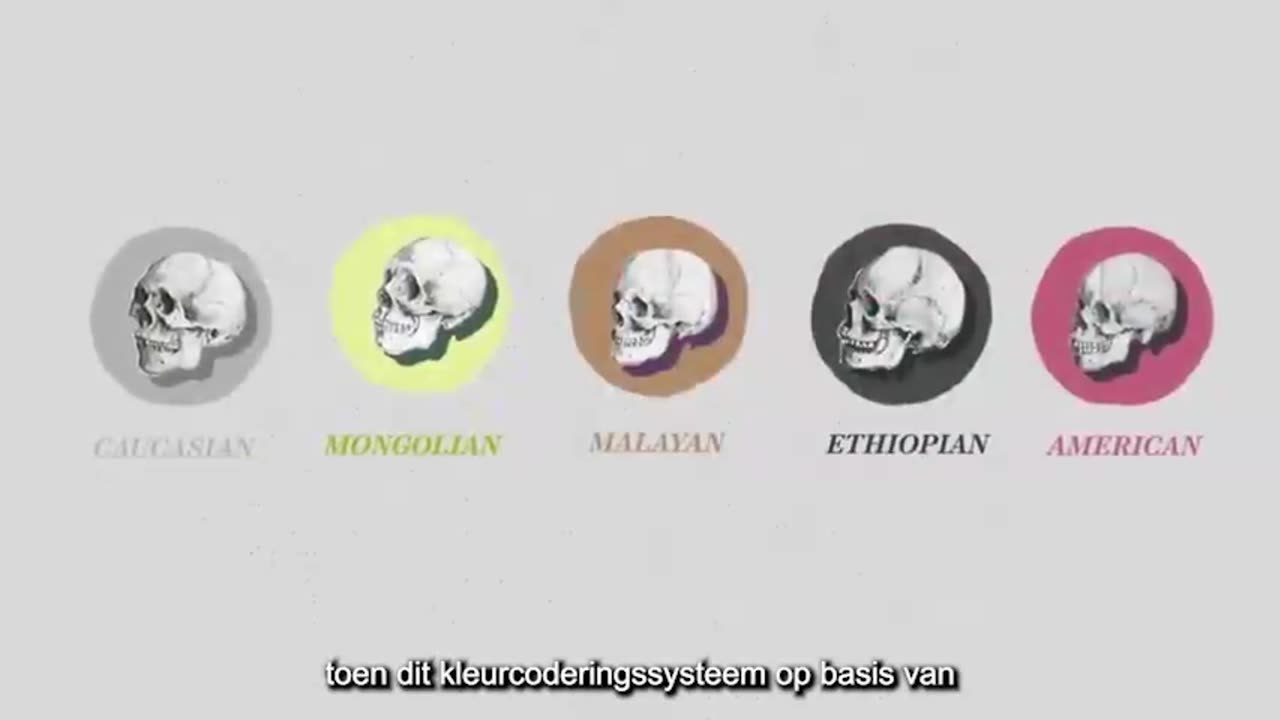 WE ARE NOT BLACK PEOPLE!! (THE DOCU-SERIES PT. 2) (Dutch/NL Subs)