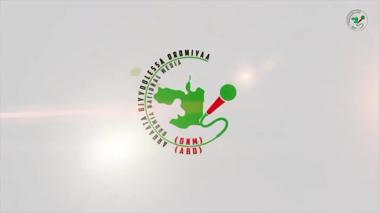 ሚያዚያ 29-2025 ONM-ABO እለታዊ የኦሮሞ ነፃነት ሰራዊትና የኦሮሚያ ውሎ!