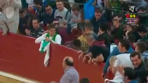 don't mess with the bull