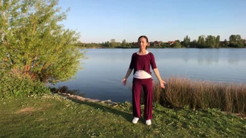 Five Animals Qigong with English Instruction