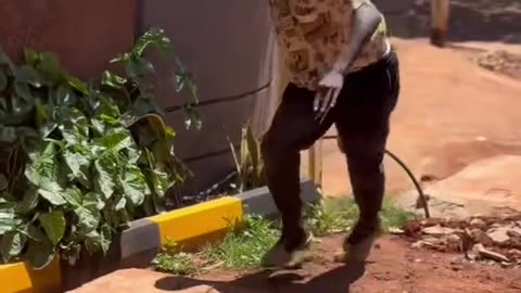 Top FUNNY Moments