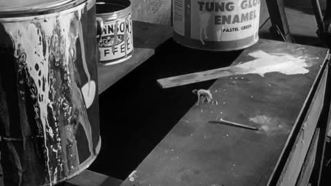 "The Incredible Shrinking Man"