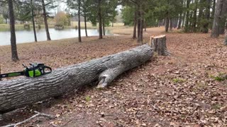 Overview Greenworks 80V Cordless Chainsaw