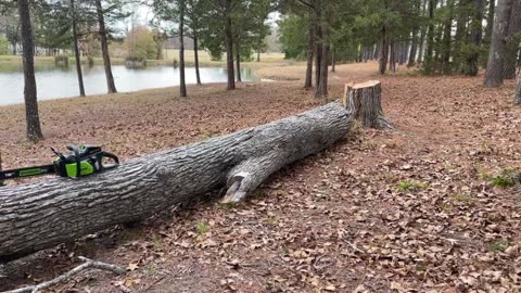 Overview Greenworks 80V Cordless Chainsaw