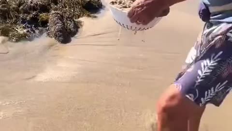 What are these?