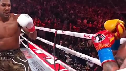 MAGA Jake Paul got knocked out , Next one Andrew Tate