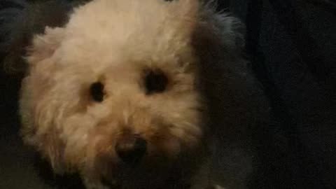 Tuck under cafe table