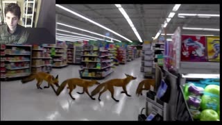 Over 5 Fictitious Foxes Roam Around A Walmart Supercenter Fake Strange Video With Live Commentary