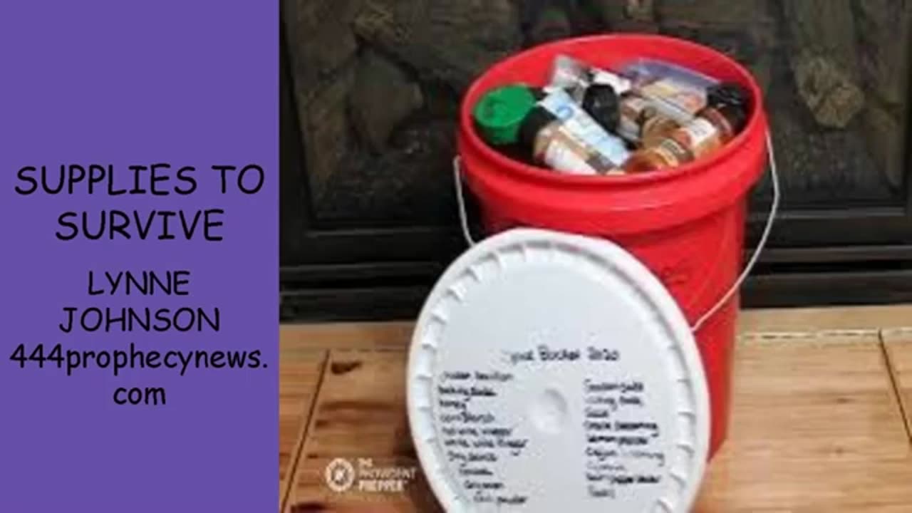 070225 SUPPLIES TO SURVIVE - LYNNE JOHNSON