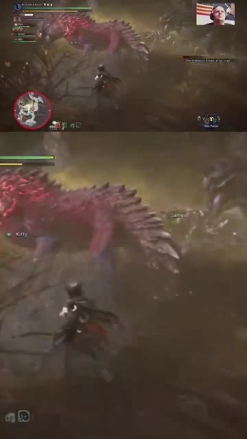 McDicken. Monster Hunter? How did I do that!