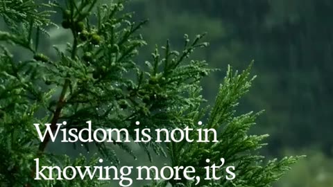 Simplicity Is the Highest Form of Intelligence