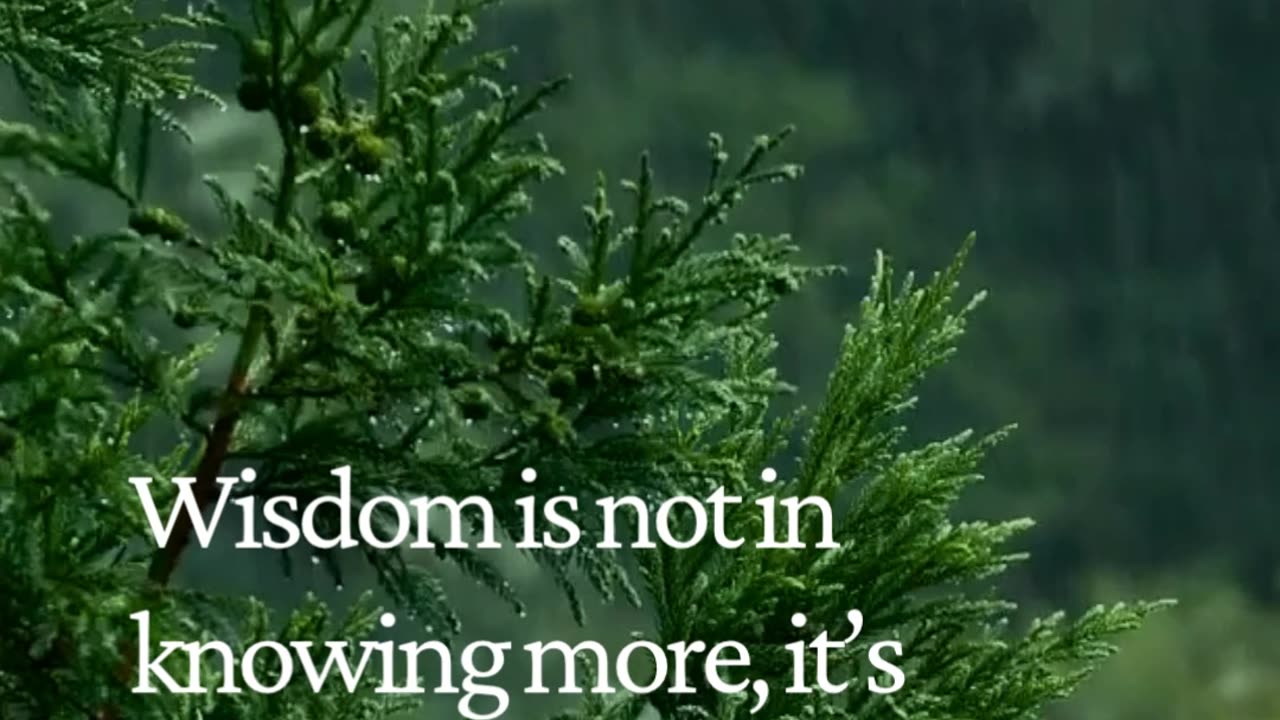 Simplicity Is the Highest Form of Intelligence