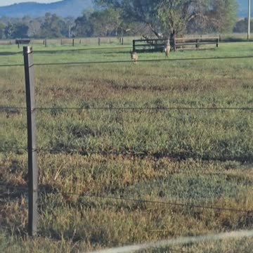 Welcome to Australia 🇦🇺