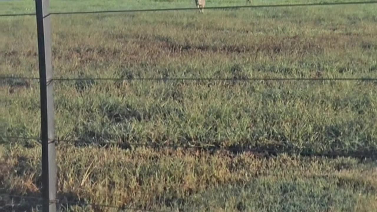 Welcome to Australia 🇦🇺