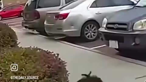 Multigenerational Curse